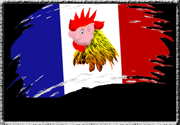 قانون جدید فرانسه؛ انحطاط اخلاقی یا افتخار انسانی؟