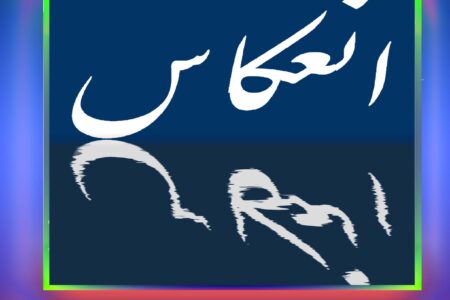 آیا دموکراسی اسرائیل کارآمد است؟